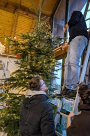 Jugendliche schmücken den Christbaum im Jugendtreff Don Bosco Regensburg